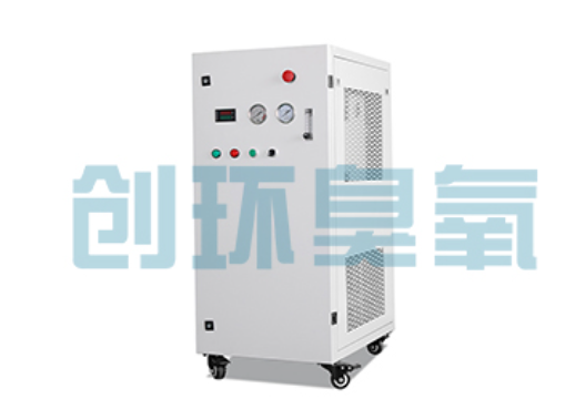 桃城石斑鱼养殖水质调控完整指南:臭氧发生器配置与操作步骤