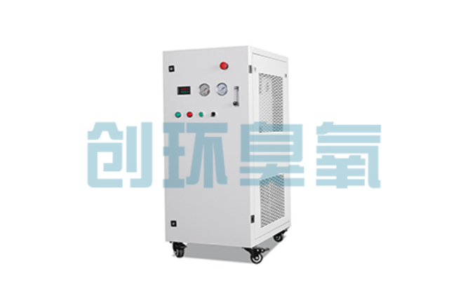 桃城比传统换水更高效?臭氧发生器在石斑鱼养殖中的水质净化原理解析